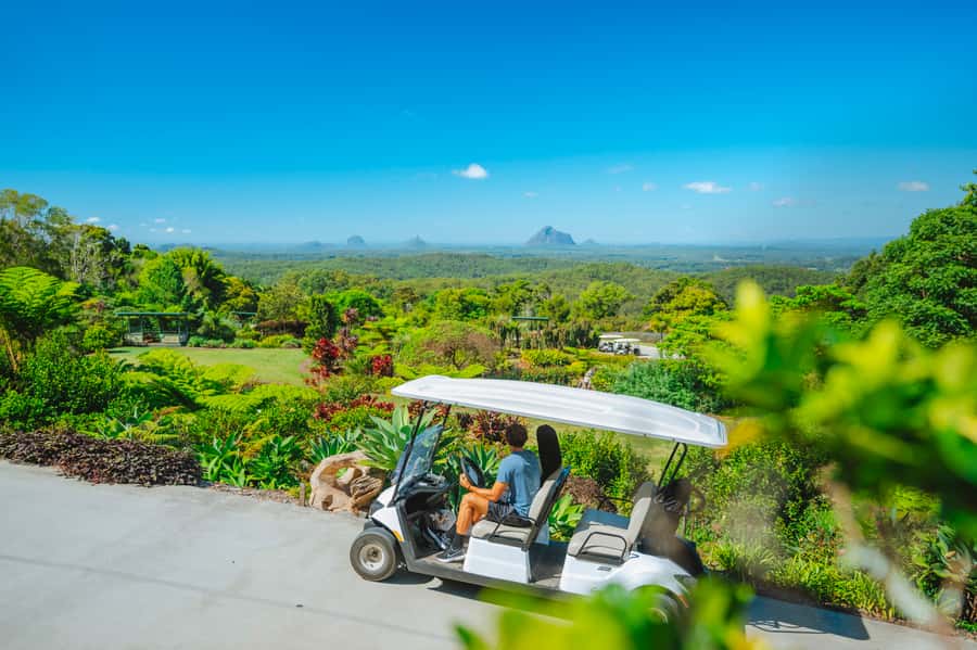 Maleny: Maleny Botanic Gardens & Bird World Entry Ticket - The guided aviary tour: how it adds value (and what to watch for)
