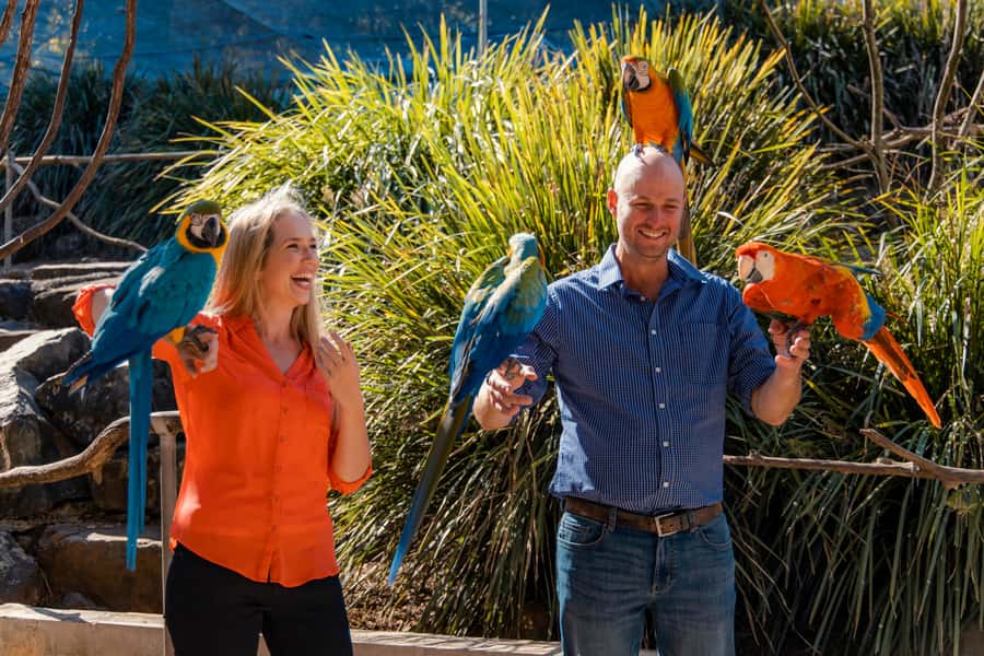 Maleny: Maleny Botanic Gardens & Bird World Entry Ticket - Price and value: does $31 per person make sense?