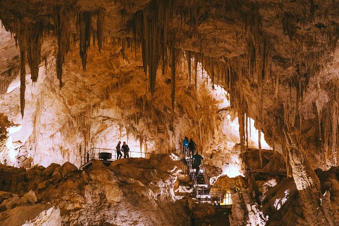 Mammoth Cave Self-guided Audio Tour (Located in Western Australia) - Mammoth Cave and why it works as a first Western Australia cave stop