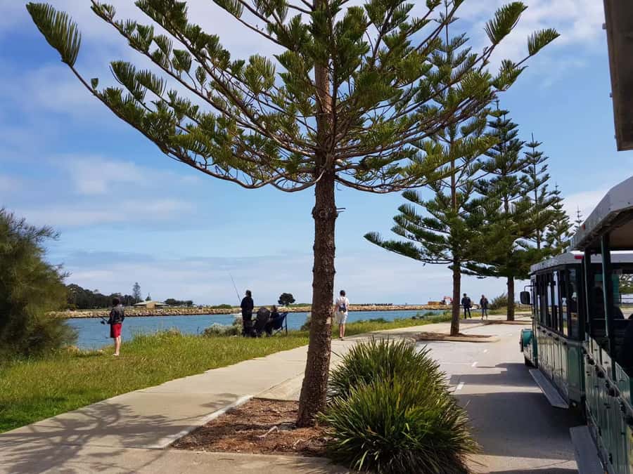 Mandurah: Big Toot 30 mins scenic tour - Key highlights to know before you go