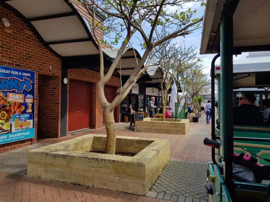 Mandurah: Big Toot 30 mins scenic tour - The 30-minute Mandurah loop: what you’ll actually see