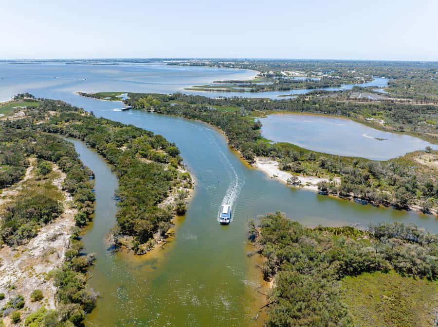 Mandurah: Murray River Lunch Cruise - Entering the Murray River: calm cruising and the guide’s rhythm