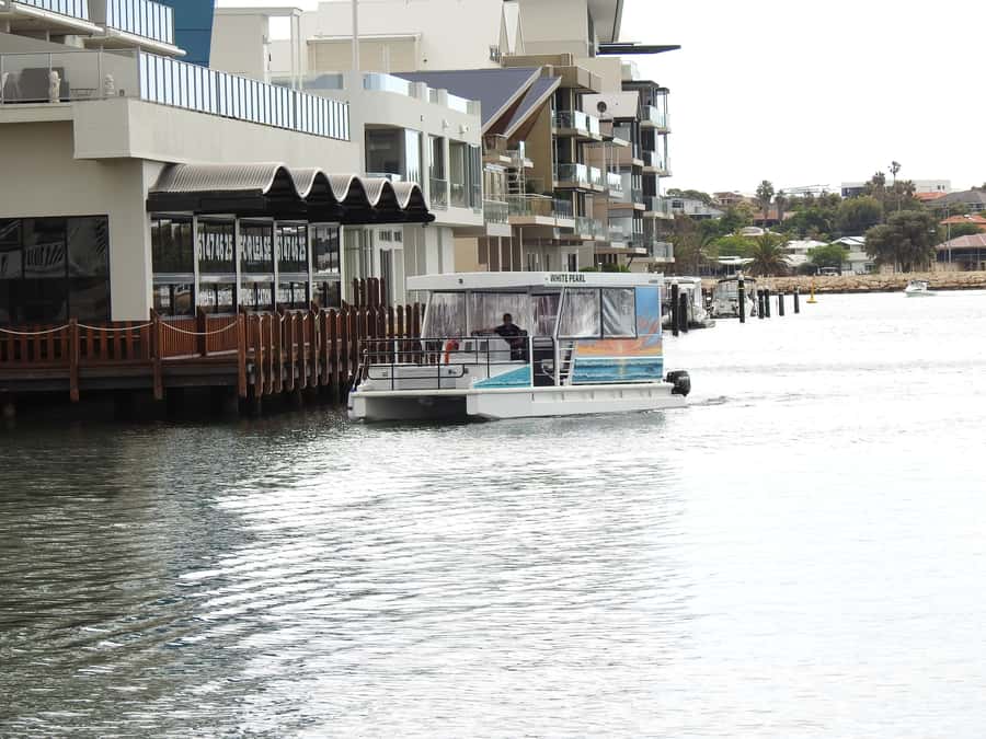 Mandurah: Sightseeing Dolphin Cruise with Tour Guide - Mandurah’s Inland Waterways: Fast Views in One Hour