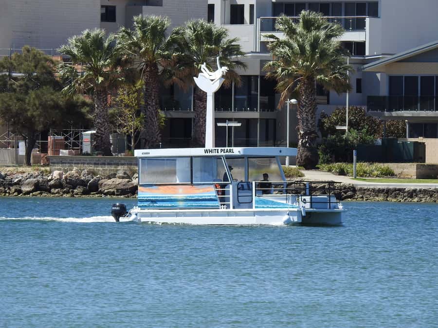 Mandurah: Sightseeing Dolphin Cruise with Tour Guide - Marina to Dolphin Quay: Where the Boats Come Into Frame