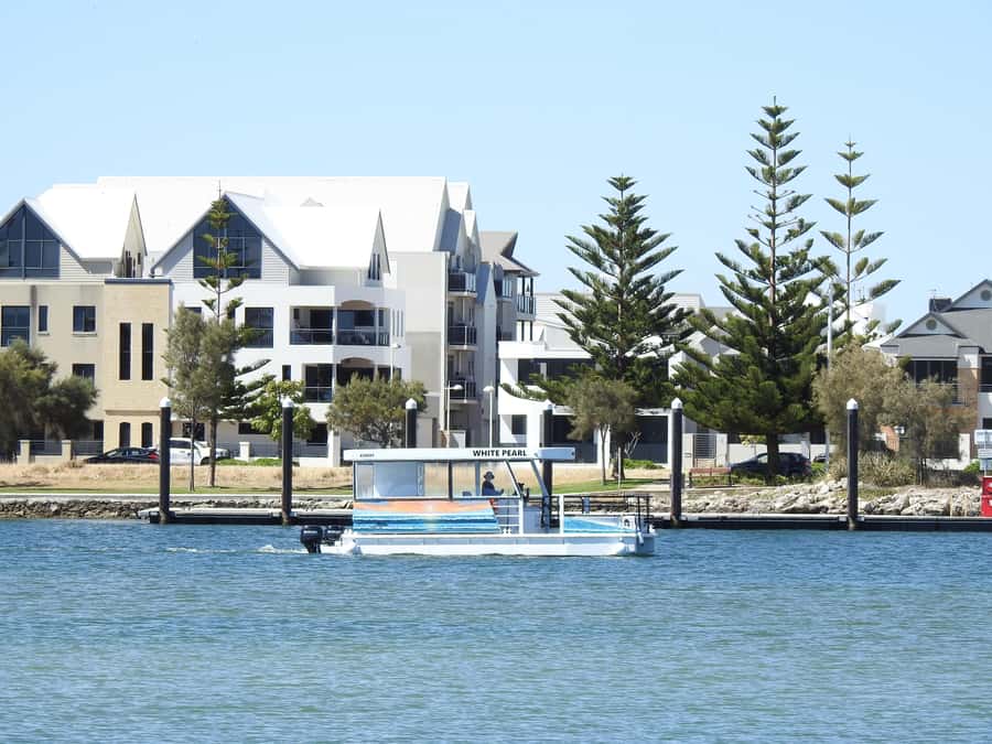 Mandurah: Sightseeing Dolphin Cruise with Tour Guide - Creery Wetlands and Boundary Island: A Protected Nature Break