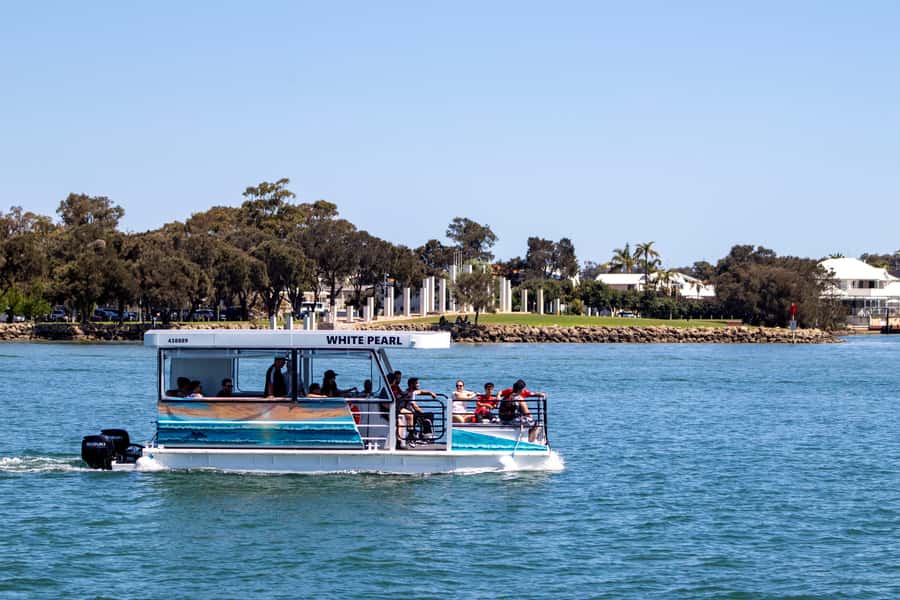 Mandurah: Sightseeing Dolphin Cruise with Tour Guide - Price and Value: Is $26 Worth It?