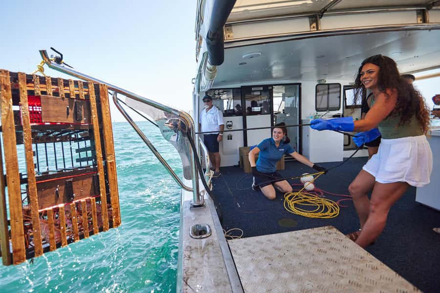 Mandurah Wild Seafood Experience - Mandurah canals, million-dollar homes, and the dolphins you’ll actually spot