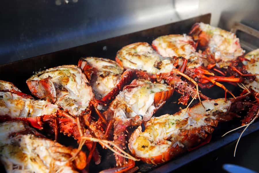 Mandurah Wild Seafood Experience - Languages on board: Mandarin, Cantonese, and Malay support