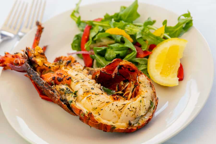 Mandurah Wild Seafood Experience - Lobster pot hauling is the headline (and it’s more than a photo op)