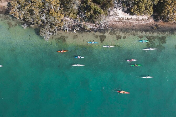 Mangroves and Mansions Guided Kayak Tour on the Noosa River - Key things to know before you go