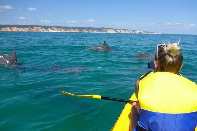 Mangroves and Mansions Guided Kayak Tour on the Noosa River - Guide quality matters more than you’d expect