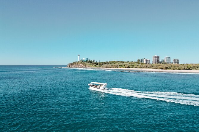Mangroves and Mansions Guided Kayak Tour on the Noosa River - The $60.25 price: what you’re actually paying for