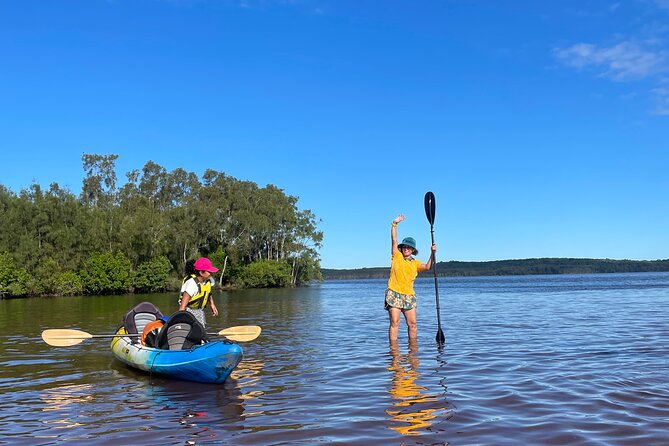 Mangroves and Mansions Guided Kayak Tour on the Noosa River - Who this kayak tour suits best