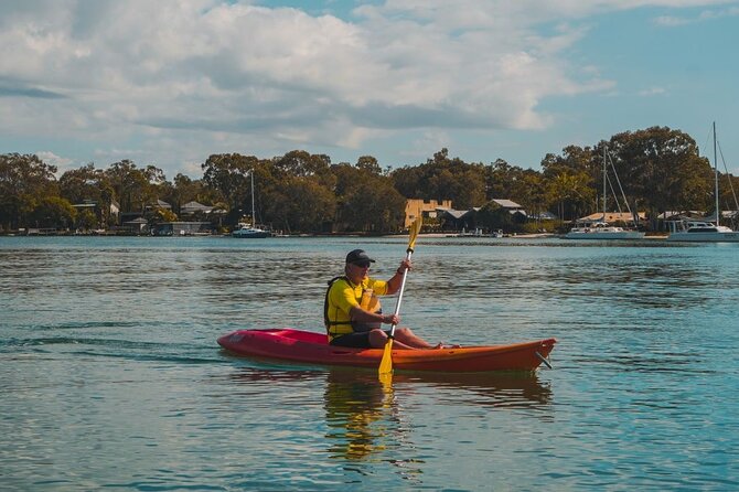 Mangroves and Mansions Guided Kayak Tour on the Noosa River - Making it work with your morning in Noosa