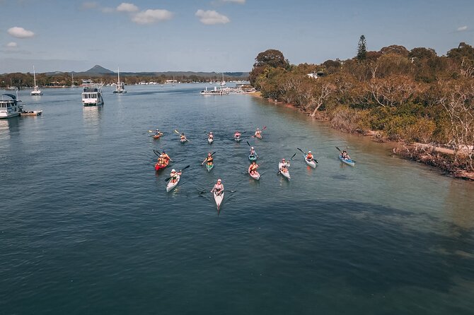 Mangroves and Mansions Guided Kayak Tour on the Noosa River - Noosa Sound paddle: more homes, more room, different angles