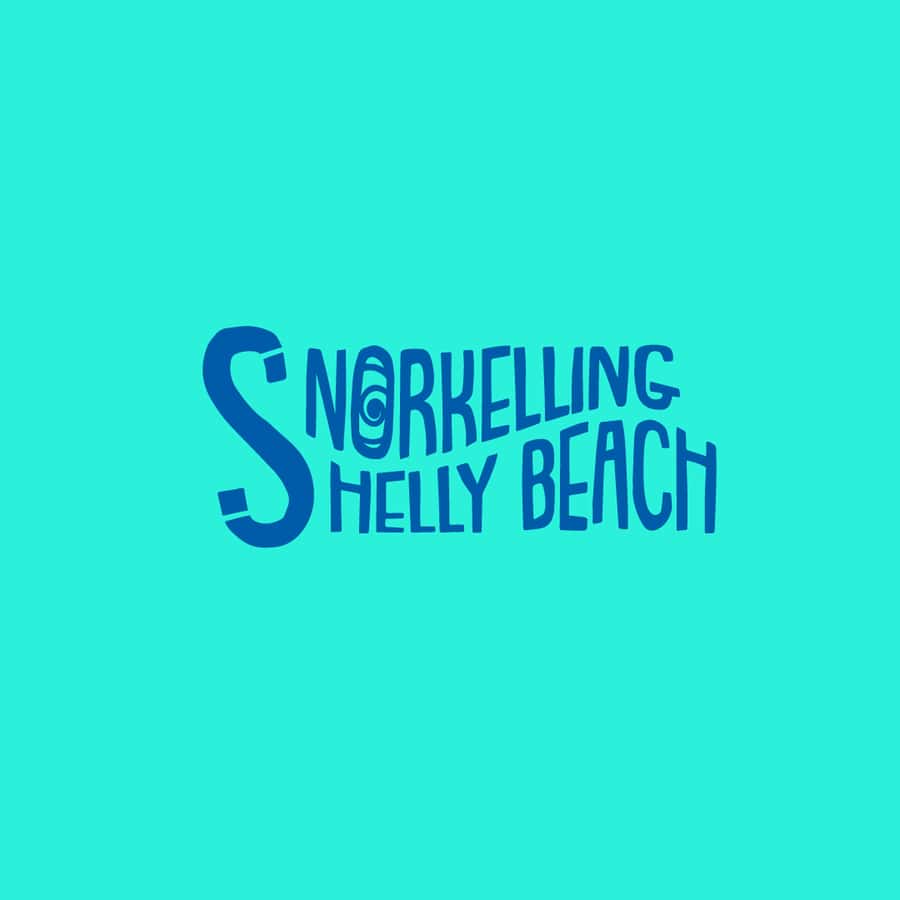 Manly Beach Guided Snorkeling Tours - Who this 1-hour session is best for (and who should skip it)