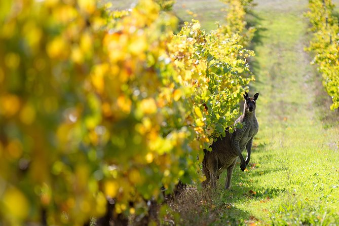 Margaret River 3 Day Escape - Meals and tastings: what the inclusions really do for your trip
