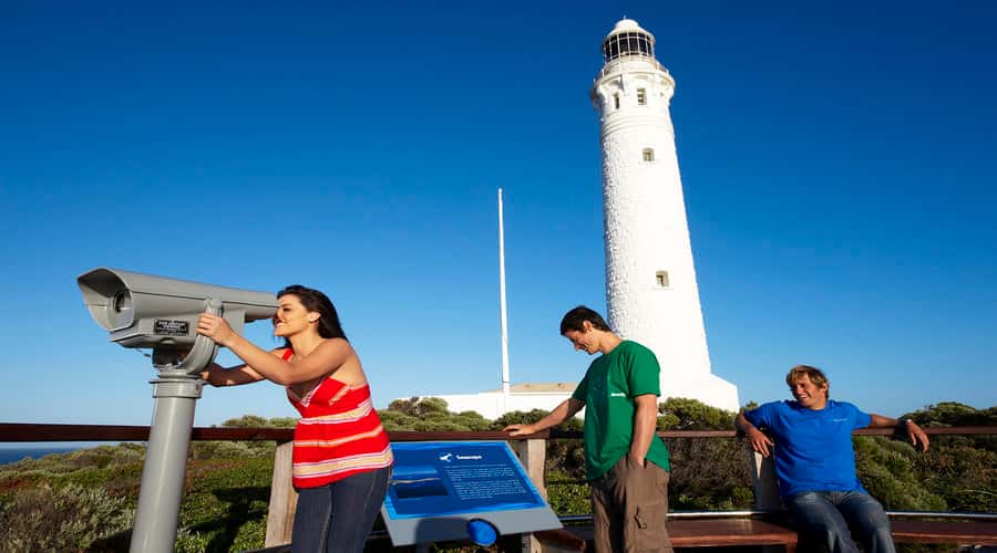 Margaret River and Busselton Jetty: Day Trip from Perth - Why this Perth-to-Margaret-River route is a smart “one-day” choice