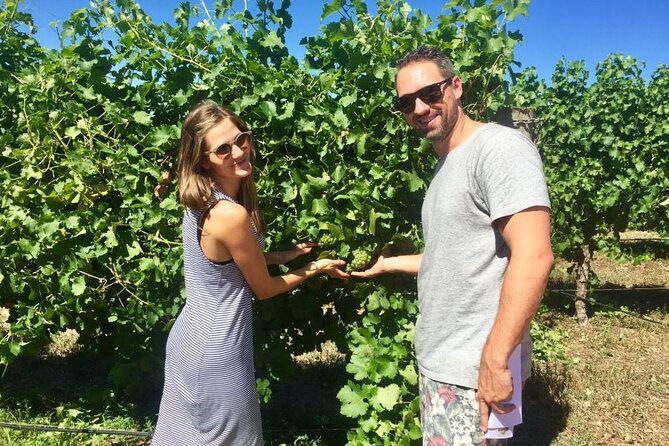 Margaret River Beer & Wine Adventure (departs Dunsborough/Busselton) - Swings and Roundabouts: the lunch that anchors the day