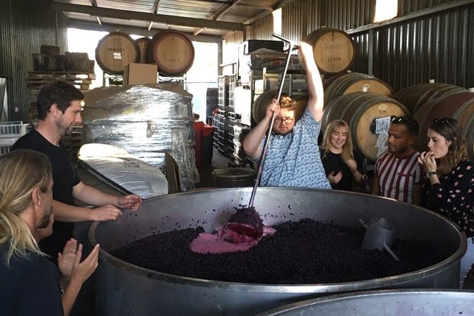 Margaret River Beer & Wine Adventure (departs Margaret River) - Key Highlights You’ll Care About