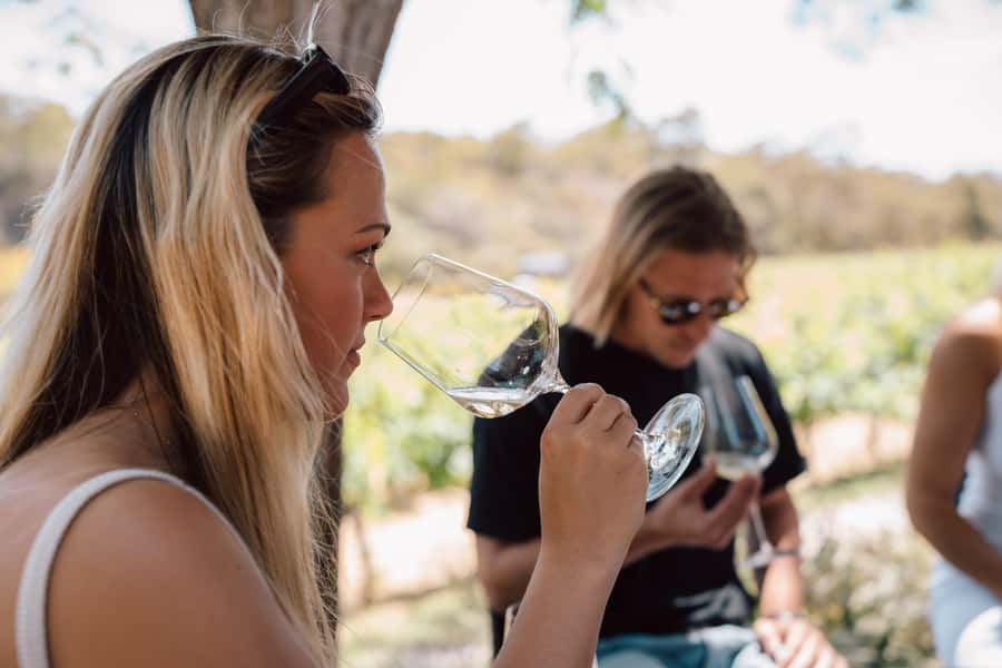 Margaret River: Boutique Wine Tour w. Blind Tasting + Lunch - Coastal lookout: learning why the waves and vines share the same ingredients