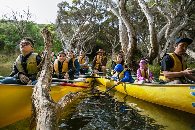 Margaret River Canoe Tour Including Australian Wild Food Lunch - Paddling upstream on crystal-clear water with wildlife in mind