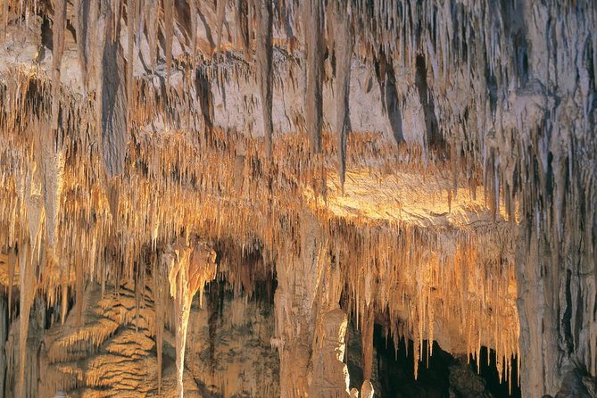 Margaret River, Caves, Wine and Cape Leeuwin Lighthouse Tour from Perth - Busselton Jetty: a quick look at the Southern Hemisphere’s longest timber pier