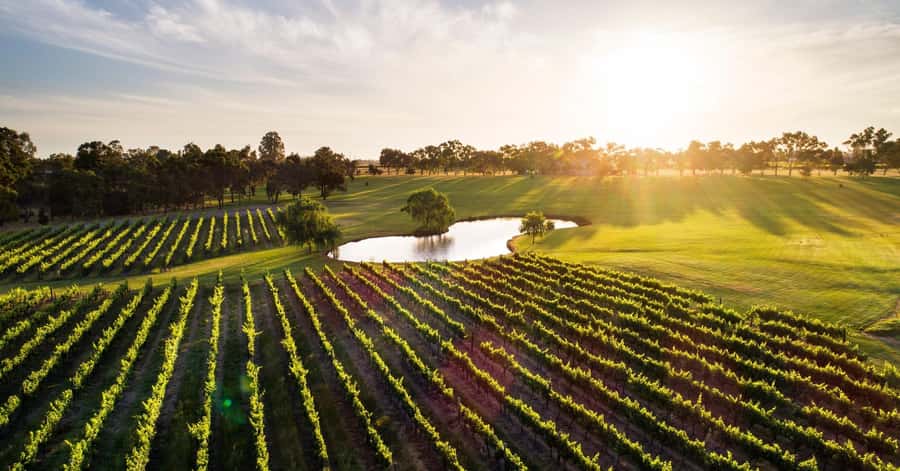 Margaret River, Chocolate, Wine & Coast Day Trip from Perth - A long day from Perth: what 810 minutes really means for your mood