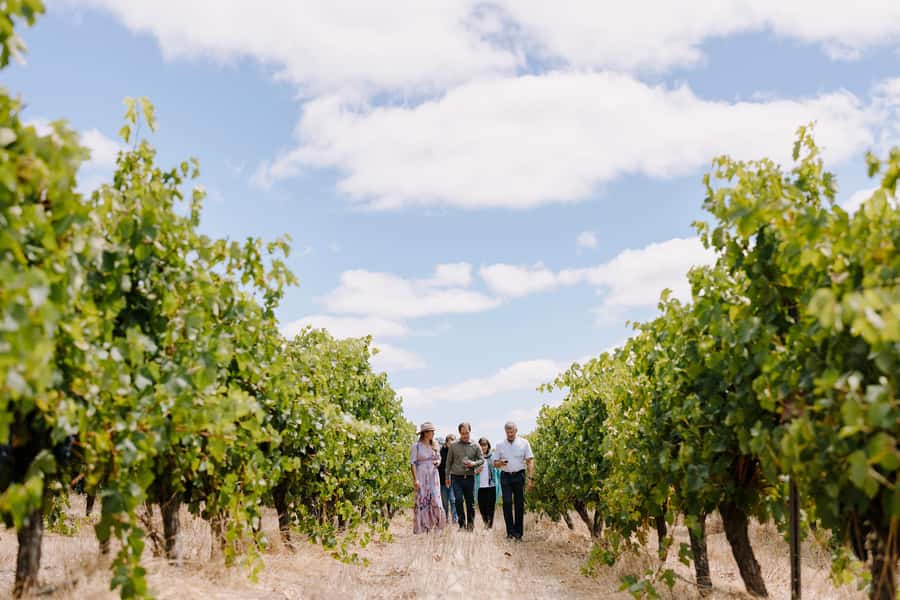 Margaret River, Chocolate, Wine & Coast Day Trip from Perth - Vasse Virgin: oils and soaps for people who like non-traditional souvenirs