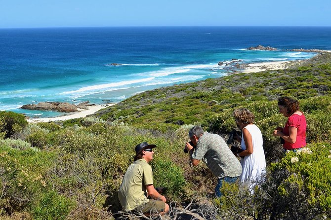 Margaret River Coastal and Wildlife Eco Trip from Busselton or Dunsborough - A short trip with the right mix of coast and wildlife