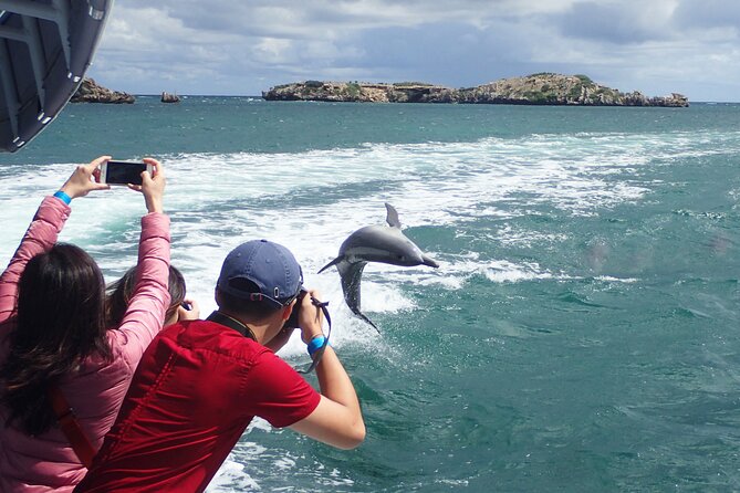 Margaret River Day Tour With Wildlife Cruise & Wine Tasting - Margaret River Town Stop: Time for Local Produce and Shops