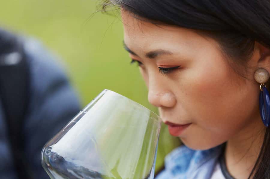 Margaret River: Full-Day Wine Tour - Quick hits before you go