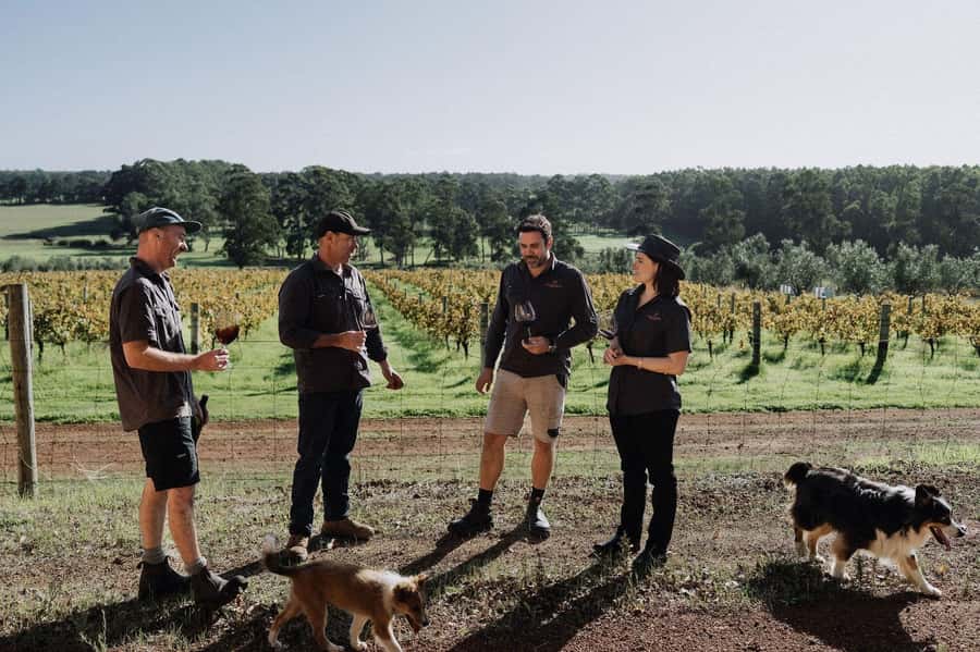 Margaret River: Full-Day Wine Tour - Vasse Virgin for olive oil skincare and gourmet food sampling