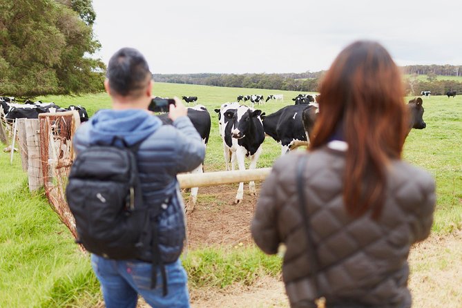 Margaret River Indulge and Discover Day Tour - Chocolate, olive oil, and skincare: the stops that make it feel local