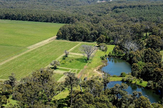 Margaret River Indulge and Discover Day Tour - Vasse Felix lunch: where the day’s best value tends to happen