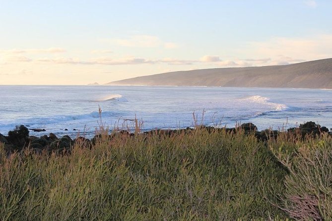 Margaret River Indulge and Discover Day Tour - Yahava KoffeeWorks: a coffee start that’s more than just a sip