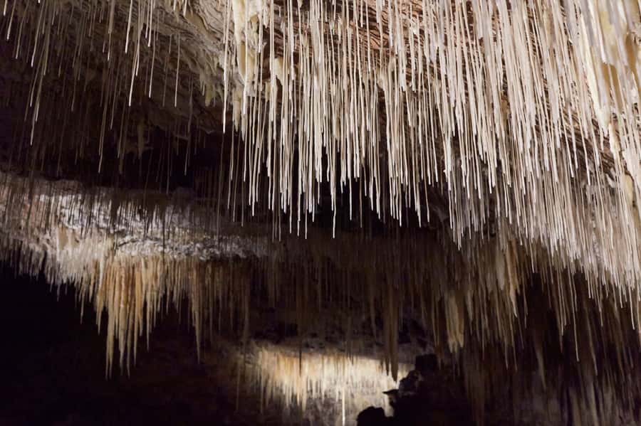 Margaret River: Lake Cave Fully-Guided Tour - Should you book Lake Cave Fully-Guided Tour?