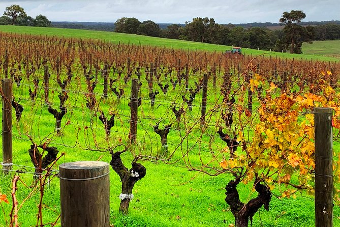 Margaret River Private Day Tours - Margaret River town area: how to use your time well