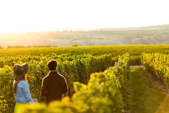 Margaret River Private Tour - Key Things I’d Watch Before You Go