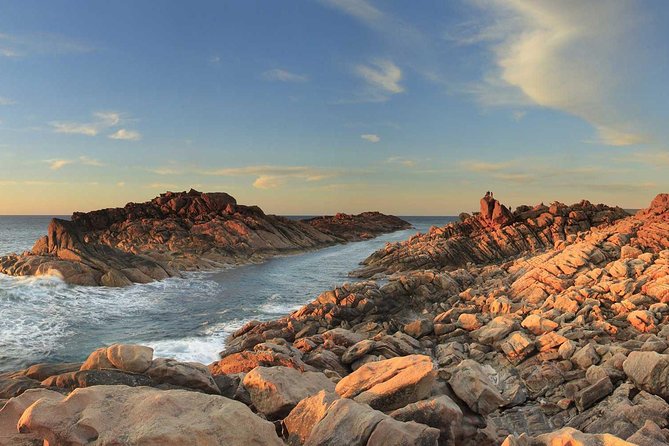 Margaret River Private Tour - Price and What You’re Really Buying at $466+ Per Person