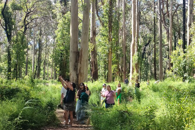 Margaret River Region Impression Day Tour from Perth - Surfers Point: Coastal Drama in 15 Minutes
