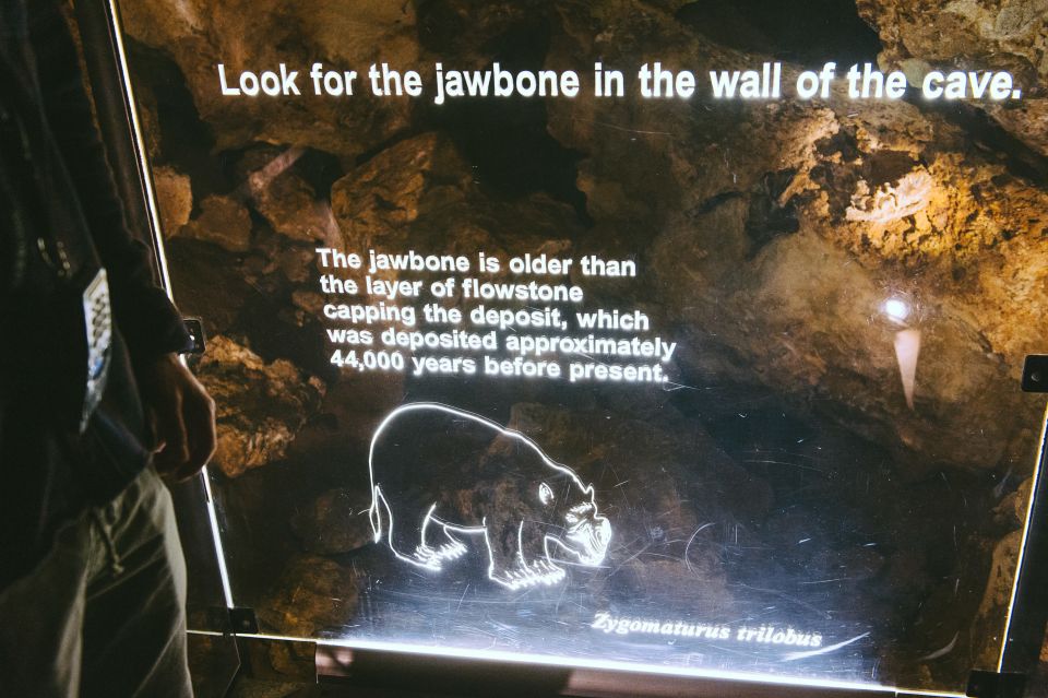 Margaret River: Self-Guided Audio Tour of Mammoth Cave - Inside Mammoth Cave: Fossils, Extinctions, and Why the Audio Matters