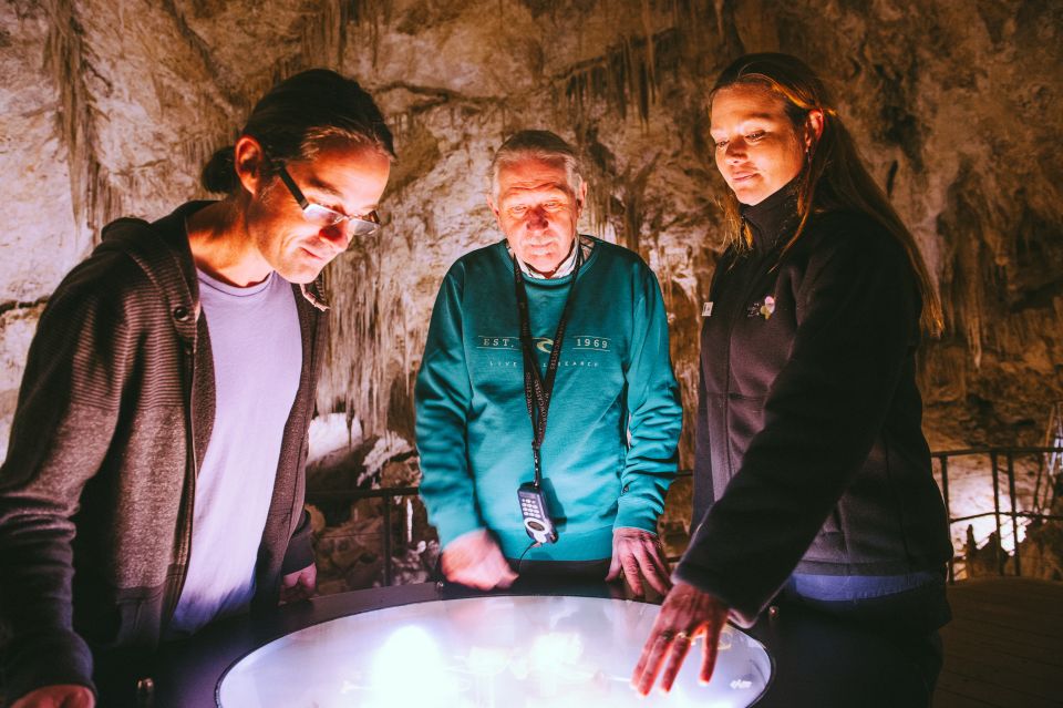 Margaret River: Self-Guided Audio Tour of Mammoth Cave - Walking Out Through the Marri Forest: Birds and Flora to Close the Loop