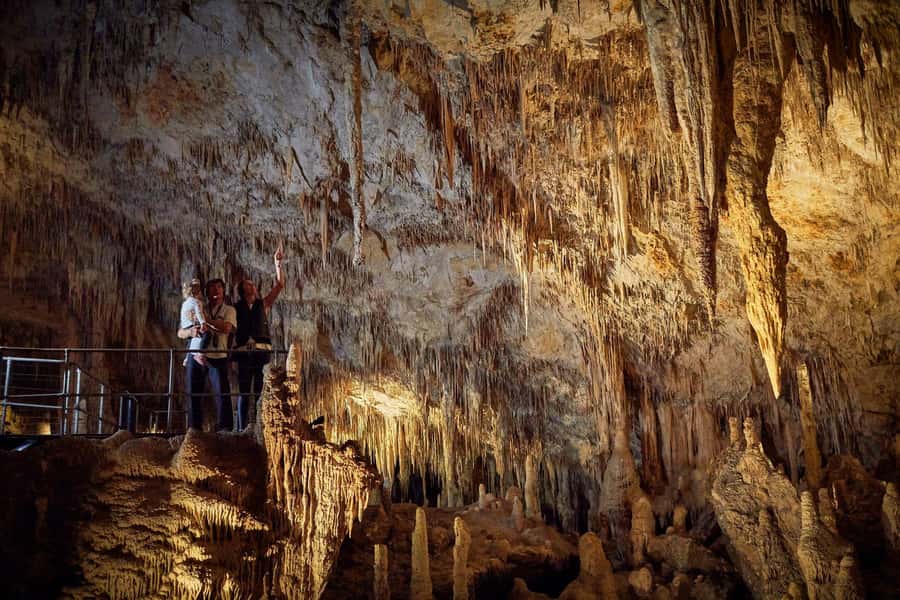 Margaret River: Self-Guided Audio Tour of Mammoth Cave - Meeting Point: Get Your Voucher and Head Straight to the Main Entrance