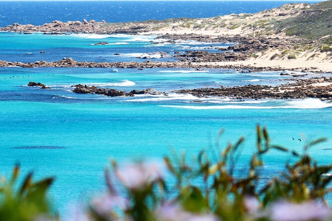 Margaret River Wine and Sights Discovery Tour from Busselton or Dunsborough - Stop 1 at Leeuwin-Naturaliste National Park: dolphins, photos, and a complimentary drink