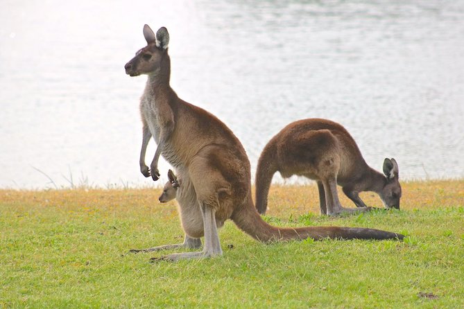 Margaret River Wine and Sights Discovery Tour from Busselton or Dunsborough - Comfort and weather: what to pack for a South West afternoon