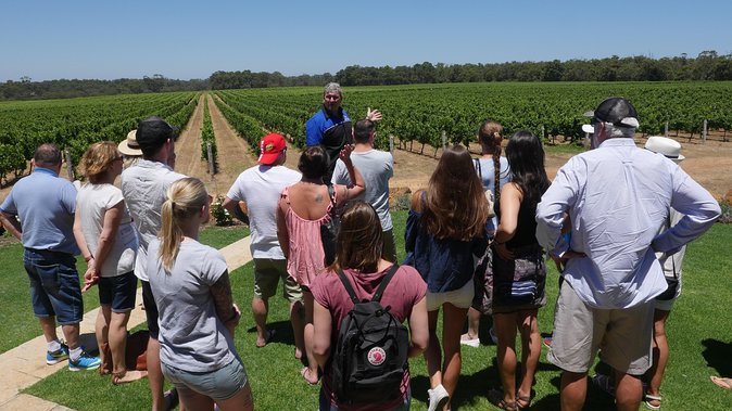 Margaret River Wine Tour: The Full Bottle - A full bottle day built for tasting without driving