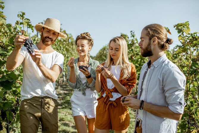 Margaret River’s Wine & Chocolate Odyssey: Private Tour - Stop 3: Brown Hill Estate winery tasting with a family-estate feel