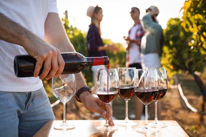 Margaret River’s Wine & Chocolate Odyssey: Private Tour - Stop 4: McHenry Hohnen Vintners for sustainable and biodynamic production
