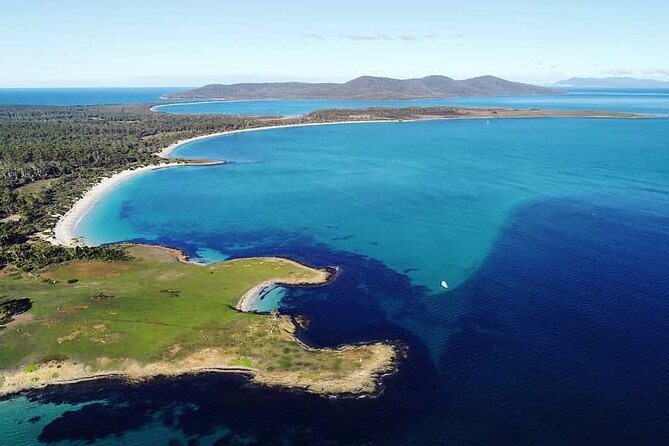 Maria Island Ferry - Hobart Bus Connection (Return Service) - Your Maria Island Day: What the Shuttle Enables (and What You Still Manage)